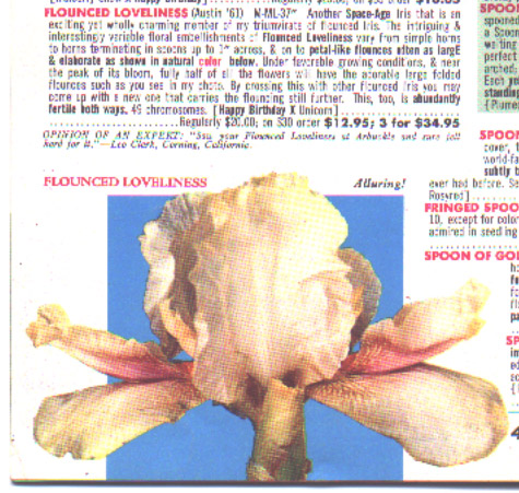 JPEG image