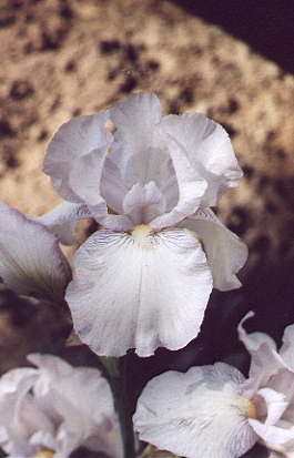JPEG image