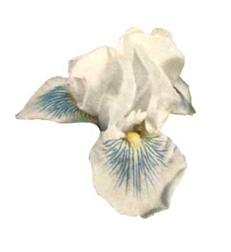 JPEG image