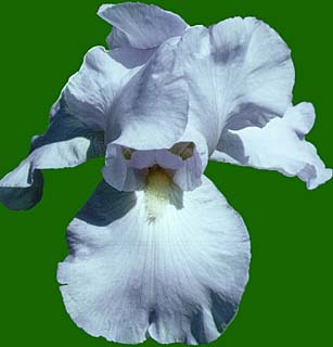 JPEG image