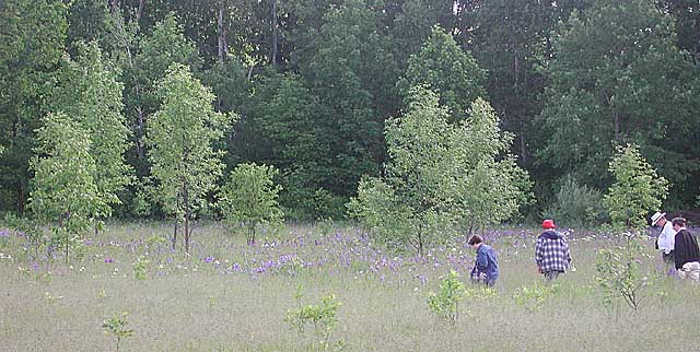 JPEG image