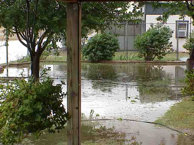 JPEG image