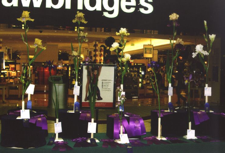 JPEG image