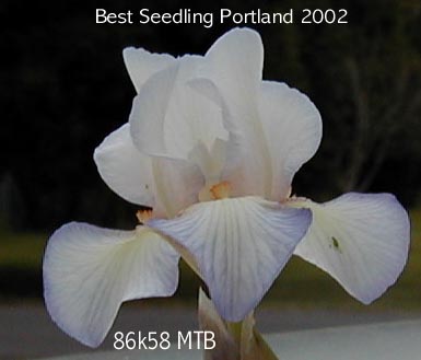 JPEG image