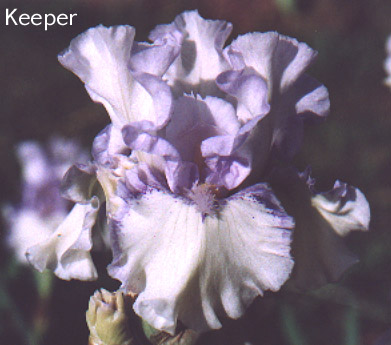 JPEG image