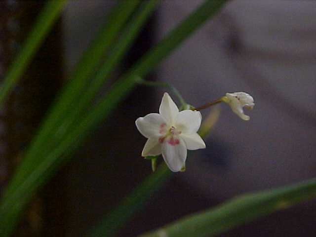 JPEG image