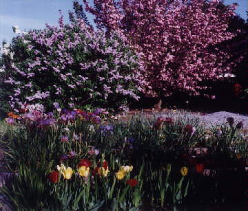 JPEG image
