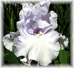 JPEG image