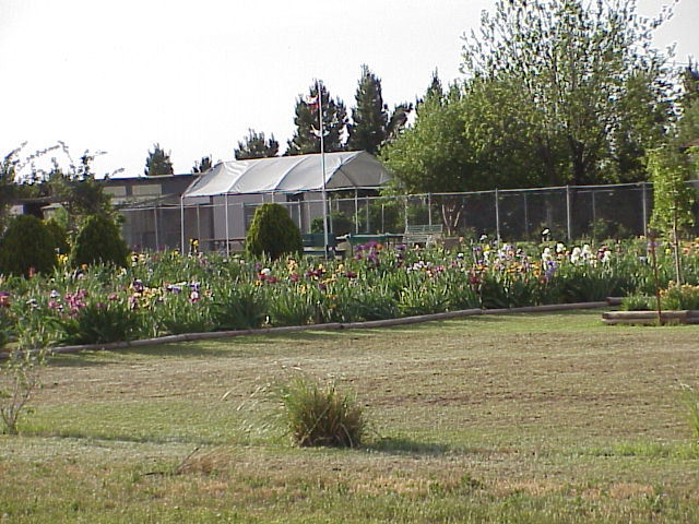 JPEG image