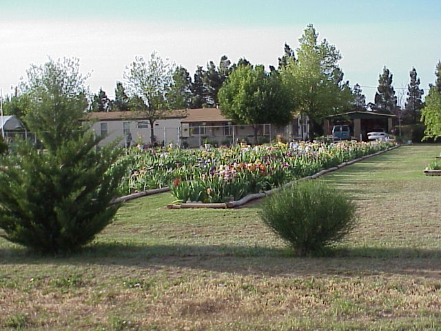 JPEG image
