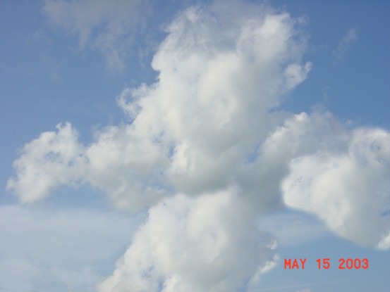 JPEG image
