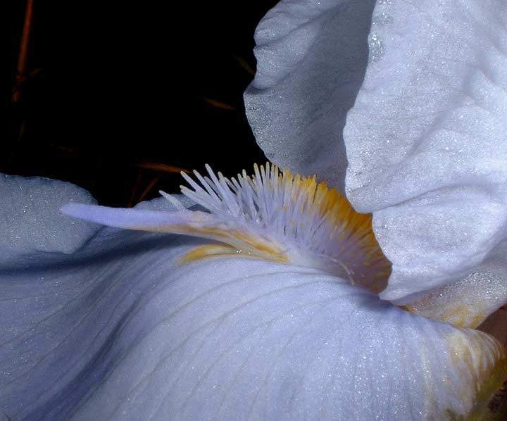 JPEG image