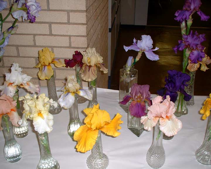 JPEG image