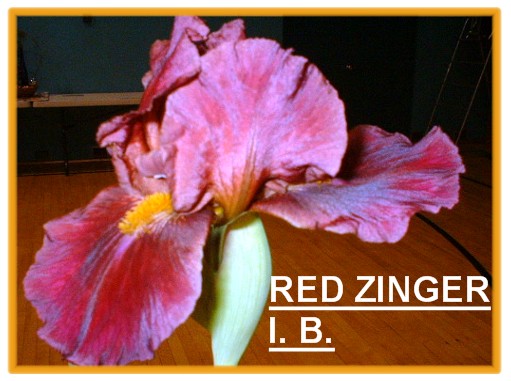 JPEG image