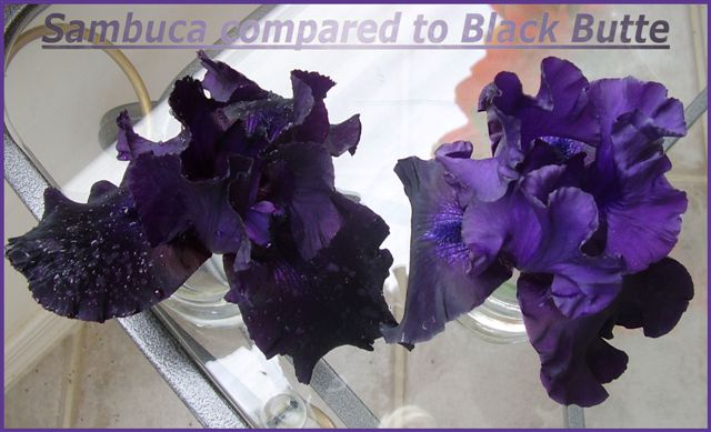 JPEG image