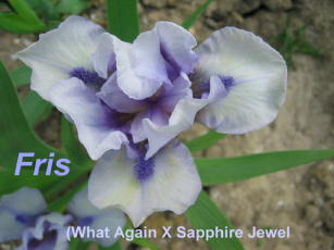 JPEG image