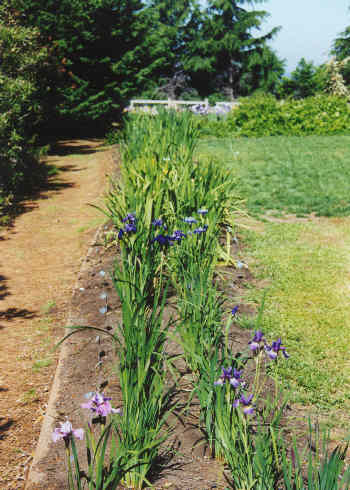 JPEG image