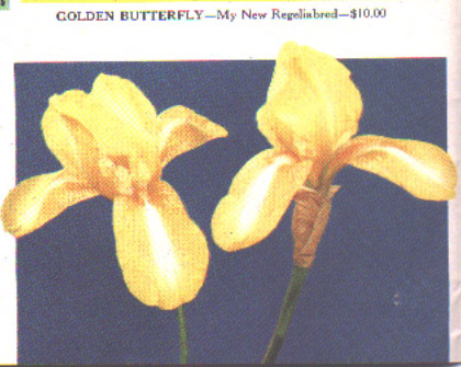JPEG image