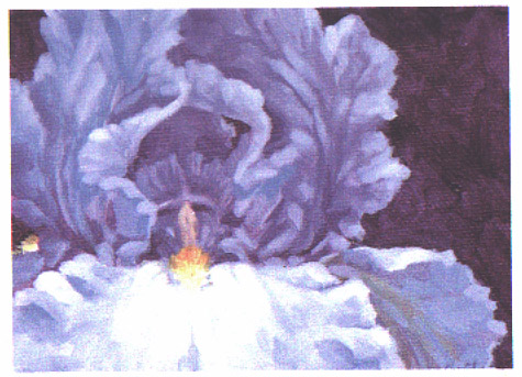 JPEG image