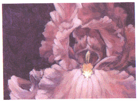 JPEG image