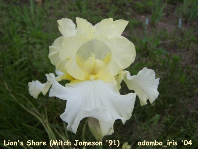 JPEG image