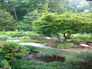 Readers' Stories: Moving a Garden