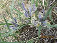 ÐÐÑÐÑÐÐ ÐÐÐÐÐÐÐÐ