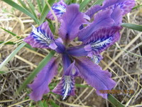 ÐÐÑÐÑÐÐ ÐÐÐÐÑÐÐÑÐÐÐÑÐ