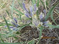 ÐÐÑÐÑÐÐ ÐÐÐÐÐÐÐÐ