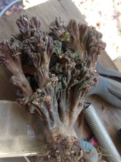 cid:28CC2100-D82B-4943-AA39-BC0912700479