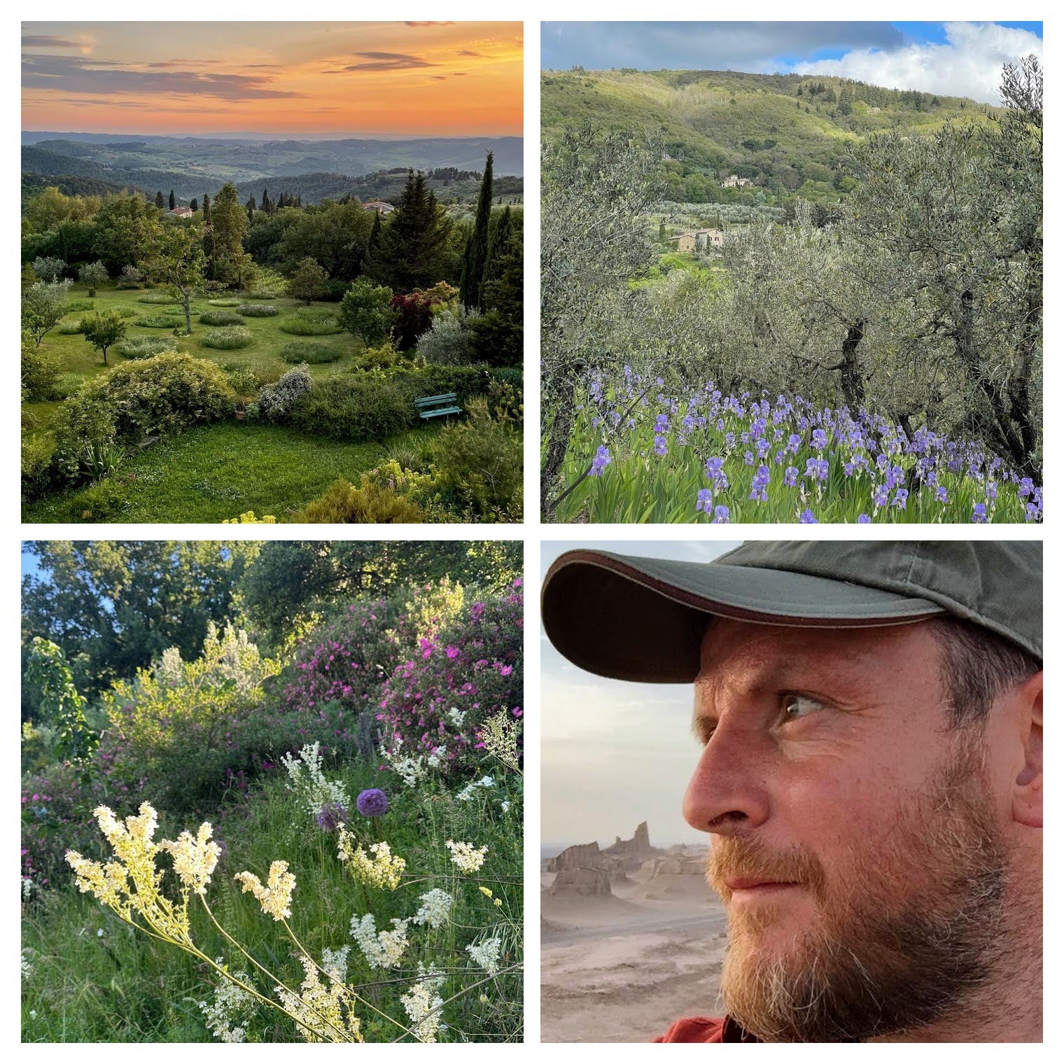 Overview Piuca-COLLAGE.jpg