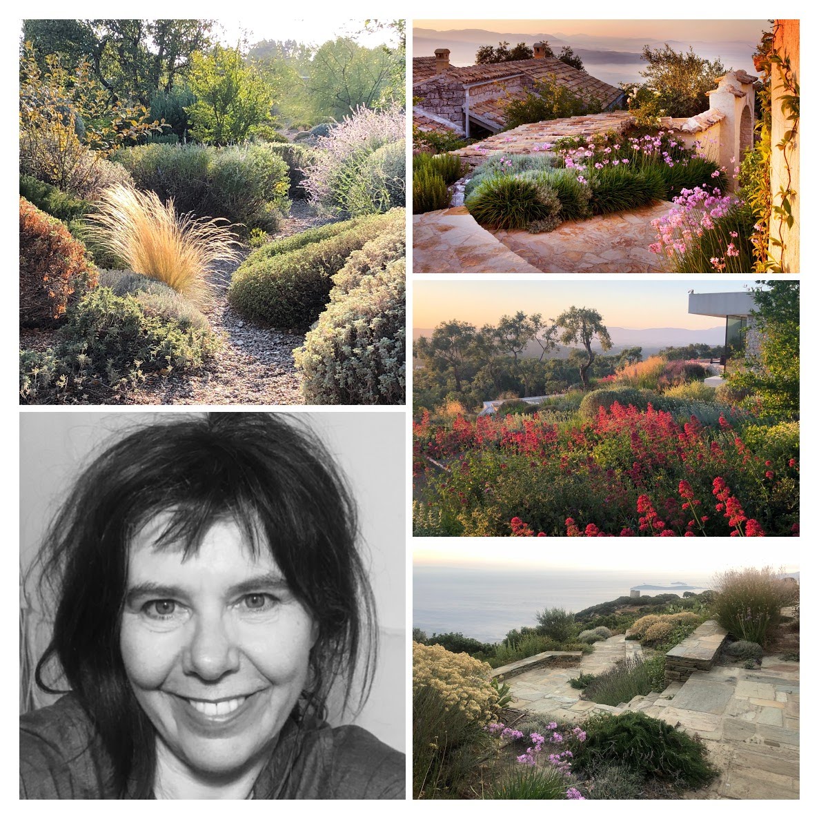 1 AGOURIDIS IMG_3544 1-COLLAGE.jpg