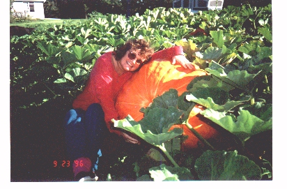 JPEG image