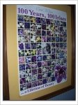 Currier's irises