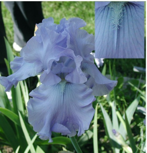 JPEG image