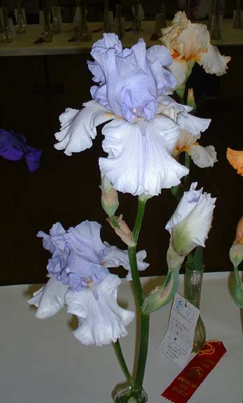 JPEG image