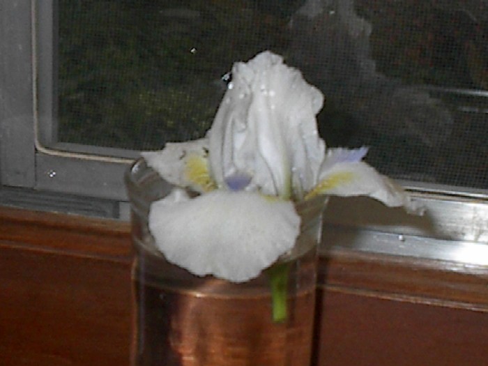 JPEG image