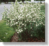 Habit