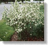 Habit